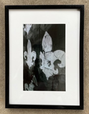 fluer de lis - Terry Gaskins Art