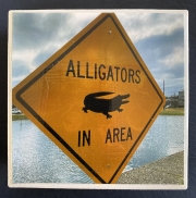 gator coasters - Terry Gaskins Art